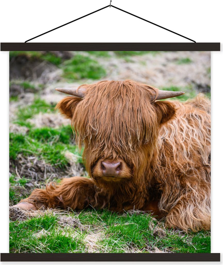 MuchoWow Textilposter Schottisches Hochlandrind - Heu - Gras 90x90 cm mit schwarzem Rahmen - Magnetisches
