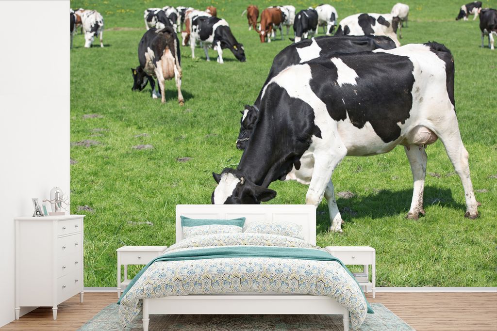 MuchoWow Fototapete für Wohnzimmer oder Schlafzimmer Wandtapete Vinyl Motivtapete Kuh - Tiere - Gras - Sonne - 420x280 cm - Zimmer für Kinder