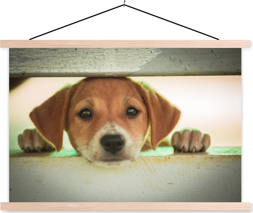 MuchoWow Textilposter Ein Welpe schaut durch einen Zaun 60x40 cm mit holzfarbenen Rahmen - Bilder