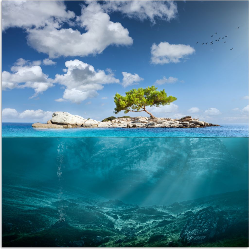 MuchoWow Poster Meer - Baum - Insel 75x75 cm - Wand Dekoration