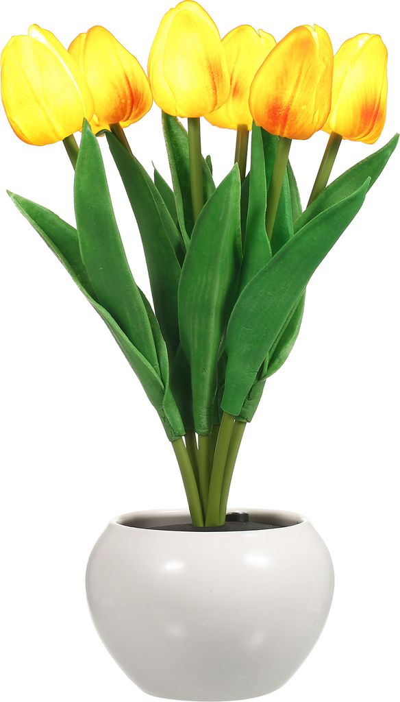 Tulip Lamp Indoor Dekorative Tischlampe Blumentopflampe Ambient Nachtlicht Geschenk Topfpflanze