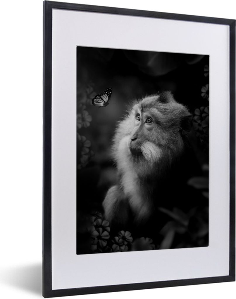 MuchoWow Gerahmtes Poster Affe und Schmetterling im Dschungel - schwarz und weiß 30x40 cm - Poster mit Schwarzem Bilderrahmen Wandposter Rahmen ...