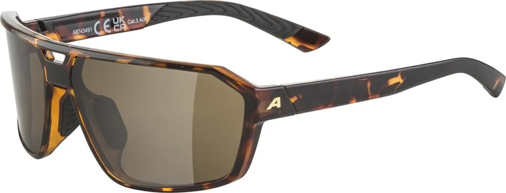 Lunettes ALPINA SWIFT : finis les glissements et l'éblouissement