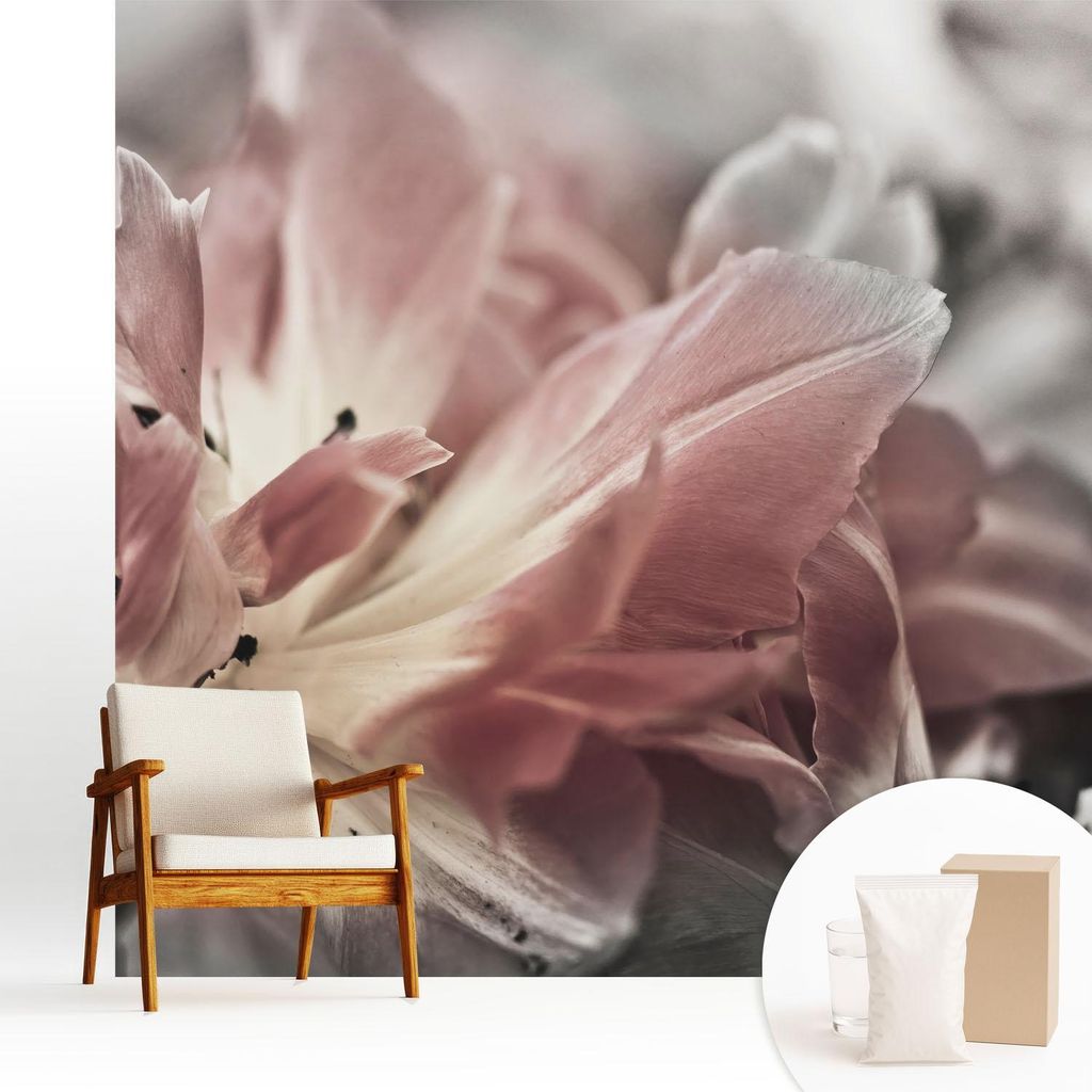Fototapete - 250x250 cm - Tapete - Wandtapete - Wandbilder - Dekofolie - Tapete Folie - Wand - Dekoration - Wohnzimmer - Pastellblume