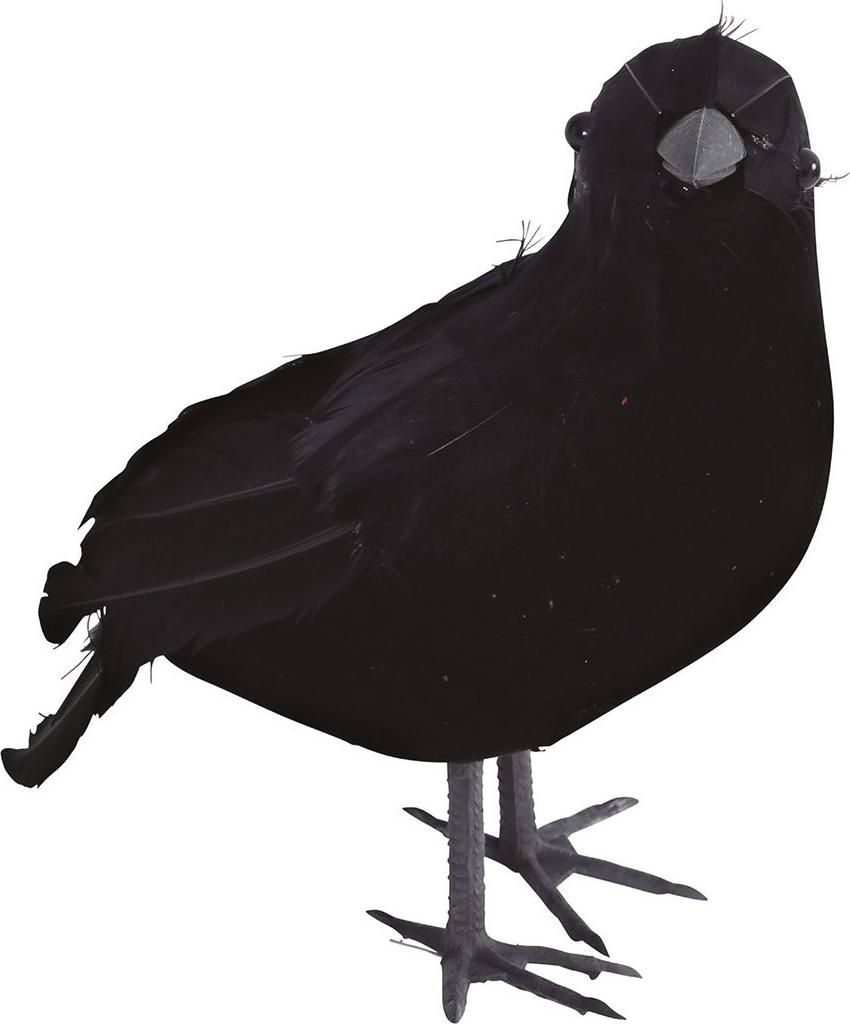 Corvo nero - HALLOWEEN - 18 x 18 cm Immagine del prodotto 