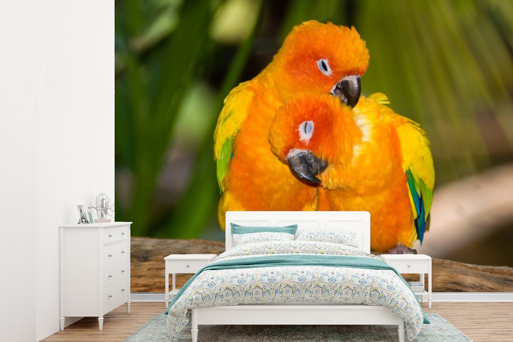 MuchoWow Fototapete für Wohnzimmer oder Schlafzimmer Wandtapete Vinyl Motivtapete Zwei Sonnensittiche sitzen auf einem Baumstamm - 305x220 cm - ...