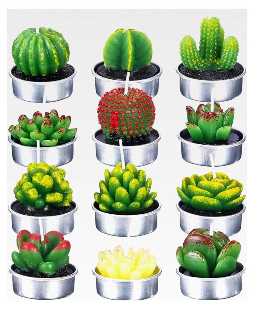Sukkulente Kaktuskerzen, 12 Stück Teelichtkerzen Set für Party, Hochzeit, Spa, Wohnraumdekoration und Geschenke