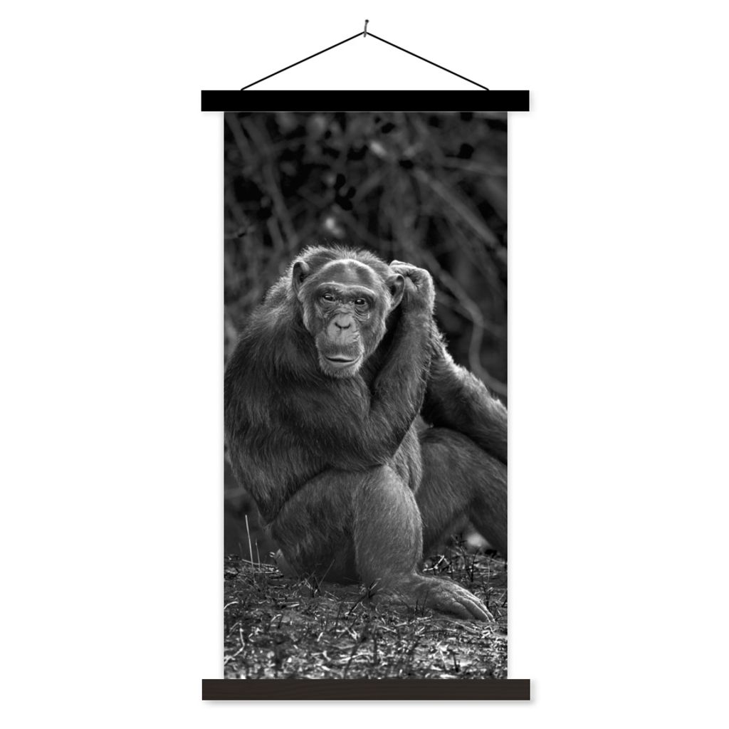 MuchoWow Textilposter Tierprofil sitzender Schimpanse in schwarz und weiß 60x120 cm mit schwarzem Rahmen - Magnete