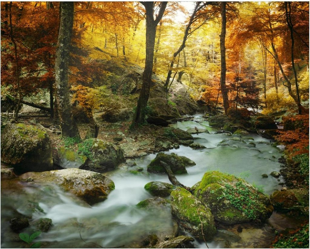 Wallario Poster - Wasserfall mit moosbedeckten Steinen im Herbstwald, Kunstdruck Größe: 40 x 50 cm
