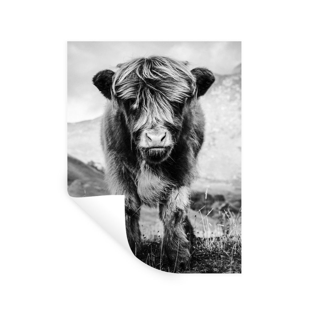 MuchoWow Wandtattoo Wandsticker Wandaufkleber Schottischer Highlander - Berg - Schwarz - Weiß 120x160 cm Selbstklebend und Repositionierbar - Wi...