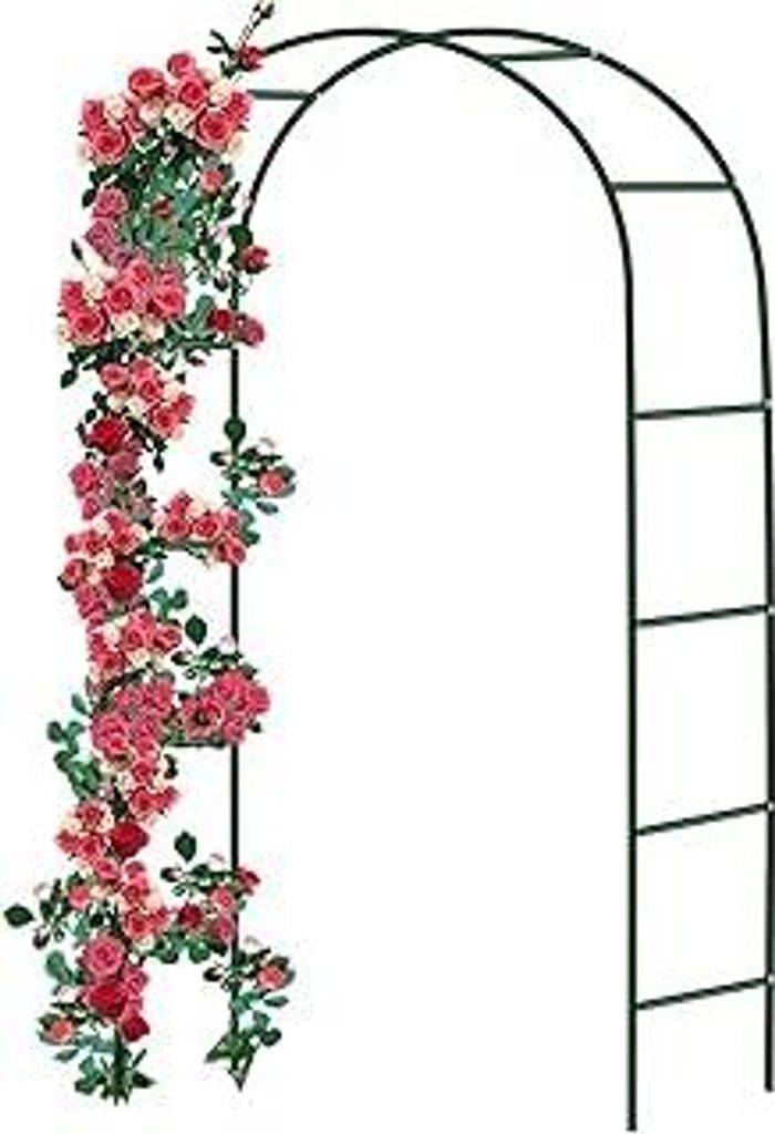 Forever Speed Rosenbogen aus Metall Rankgitter Rosenhilfe aus Pulverbeschichtetem Stahl, Garten Decoration und Verzierung Kletterer wetterfest 240 ...