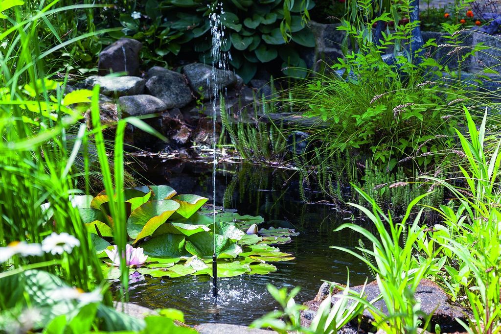A close-up view of a small garden pond with a solar-powered fountain, water lilies, and lush green plants surrounding it.