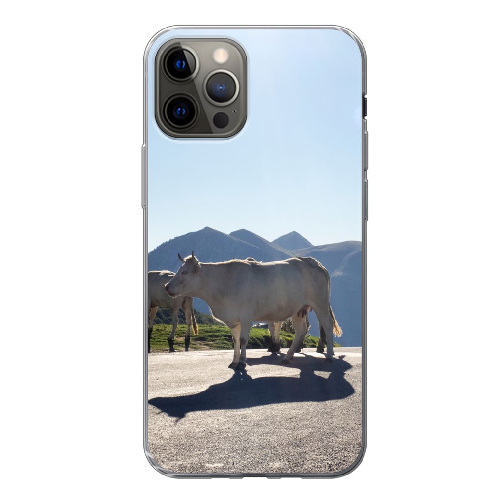 MuchoWow Handyhülle Schutzhülle Hülle für iPhone 13 Pro Schottische Highlander - Licht - Berge - Natur Silikon Softcase Handy Hülle - Handy-...