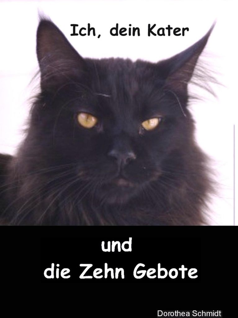 Ich, dein Kater und die zehn Gebote