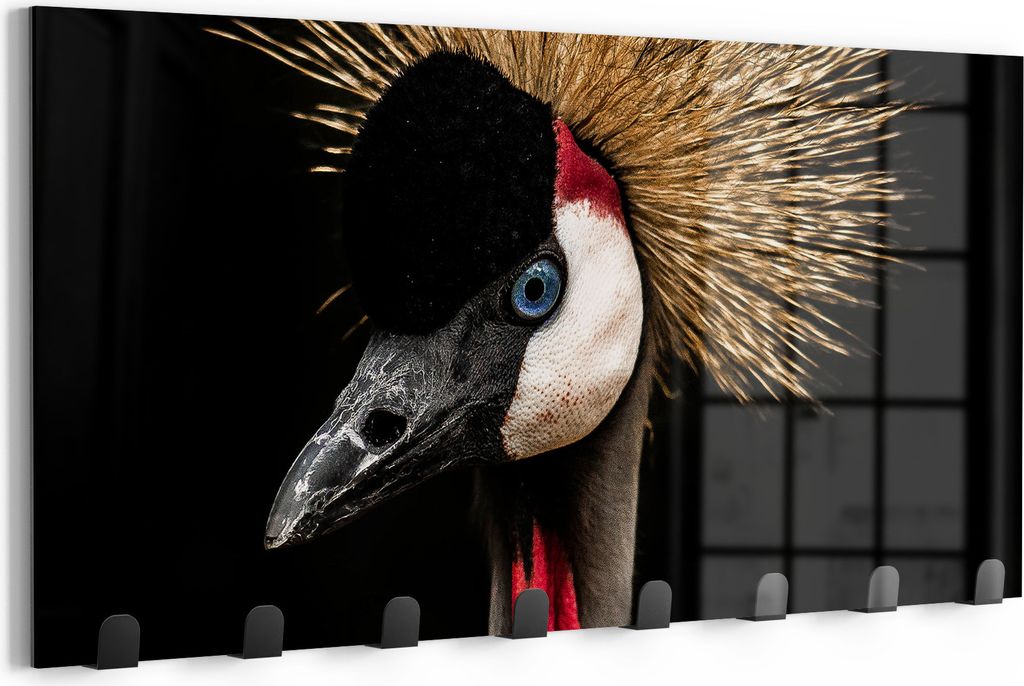 DEQORI Kleiderhaken Glas 60x30 cm 'Königliches Gefieder' Wand Garderobe beschreibbar Paneel