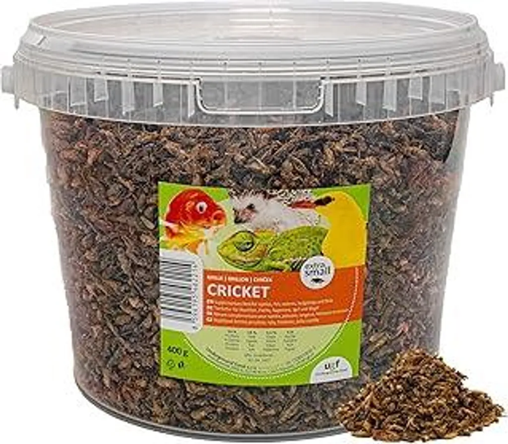 Snack Naturale per Ricci e Uccellini - Grilli UGF 400g in Secchio