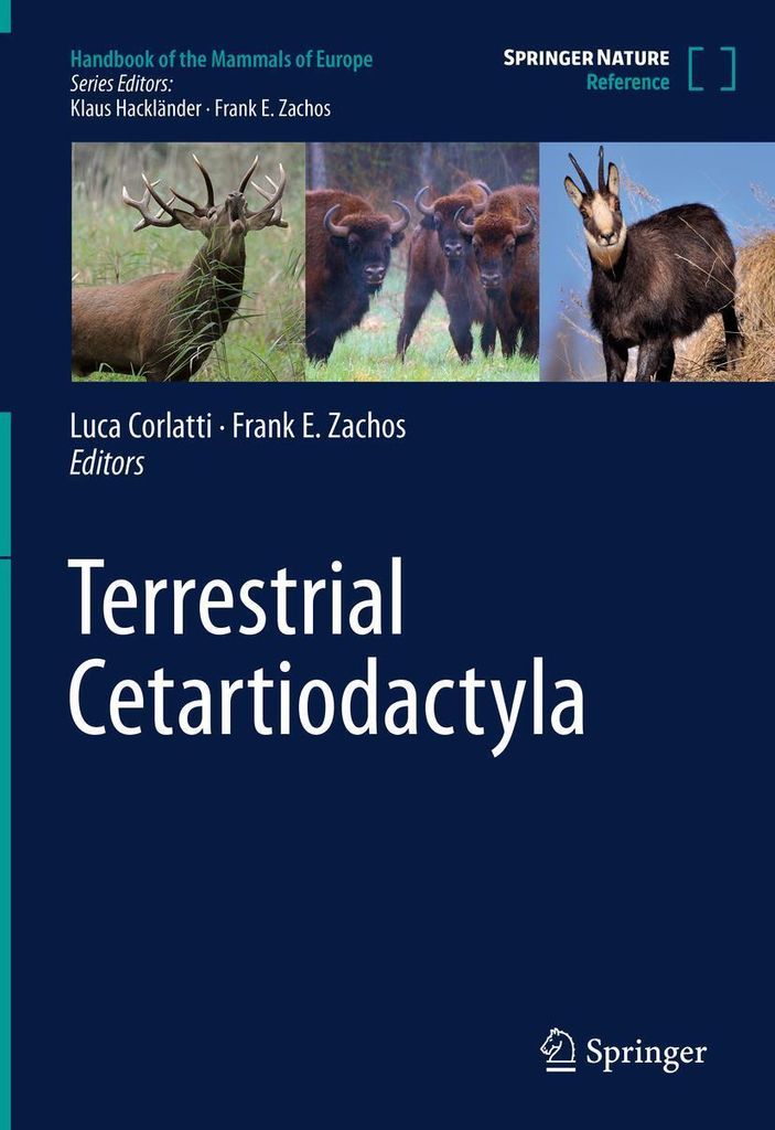 Terrestrische Cetartiodactyla
