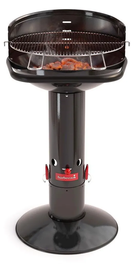 Barbecue Barbecook Loewy 50 : Allumage Facile et Nettoyage Rapide Garanti