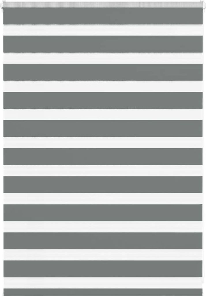 Maison Exclusive - Doppelrollo Dunkelgrau 95x100 cm Stoffbreite 90,9 cm Polyester
