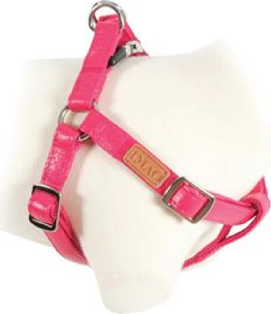 Harnais chien Zolux PICCADILLY rouge 25mm : fini les tirages de cou
