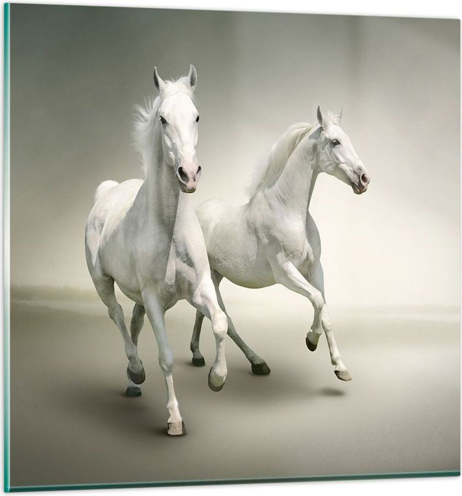 Bilder auf glas - Tiere araber pferd bauernhof - 60x60cm - Glasbilder - Wandbilder - Kunstdruck - zum Aufhängen bereit - Wanddekoration aus Glas -...