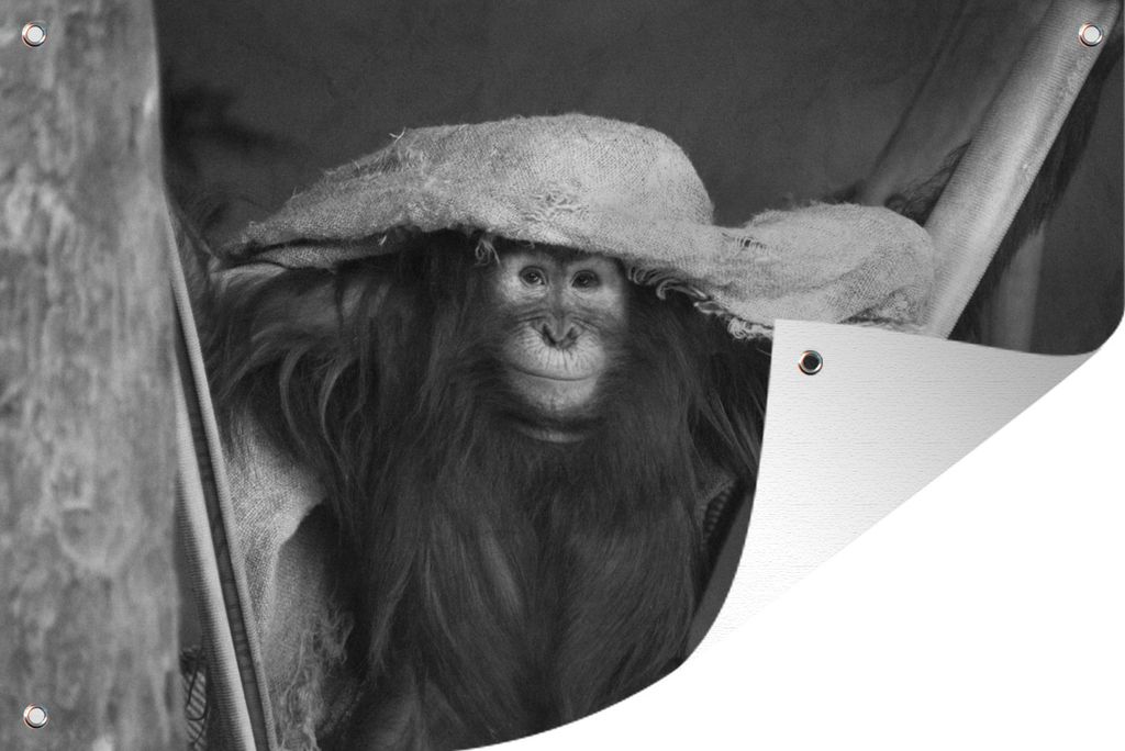 MuchoWow 60x40 cm Outdoor-Poster Gartendeko Sichtschutz Garten Poster für den Garten Orang-Utan spielt mit Handtuch