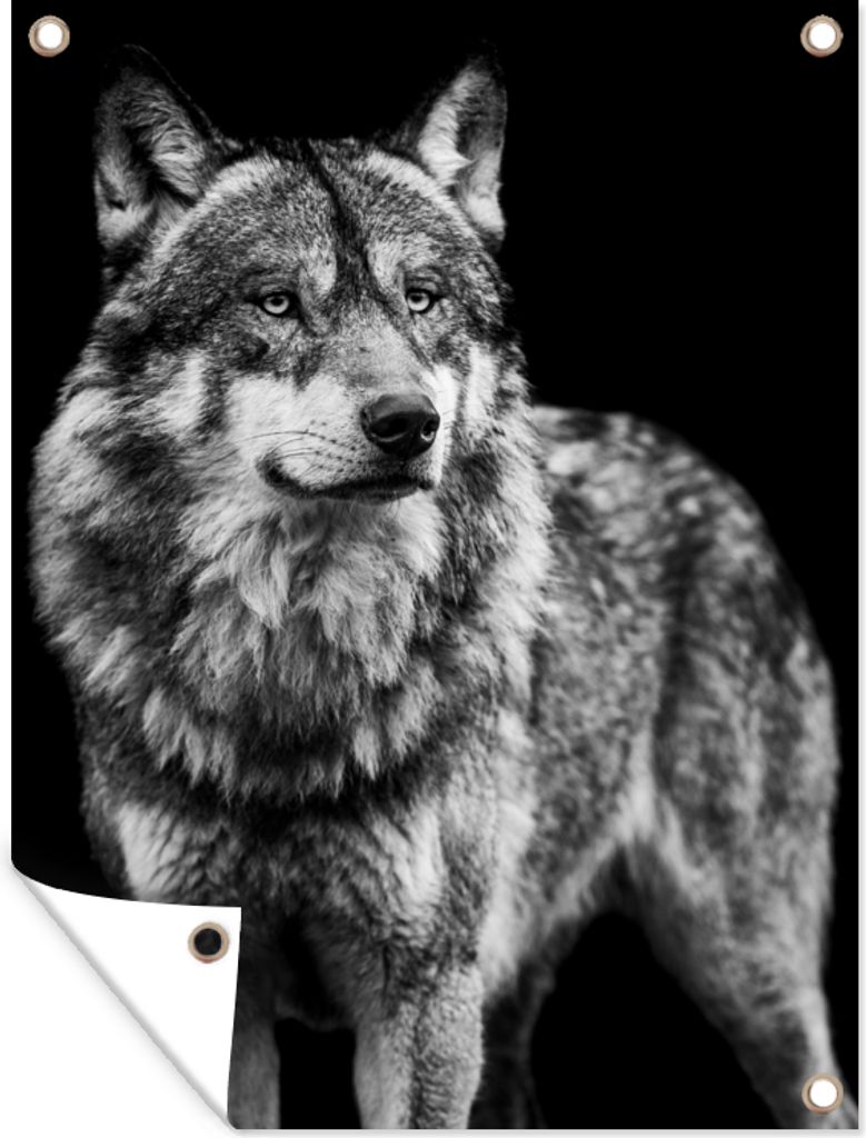 MuchoWow 60x80 cm Outdoor-Poster Gartendeko Sichtschutz Garten Poster für den Garten Wolf - Tiere - Wild - Schwarz - Weiß