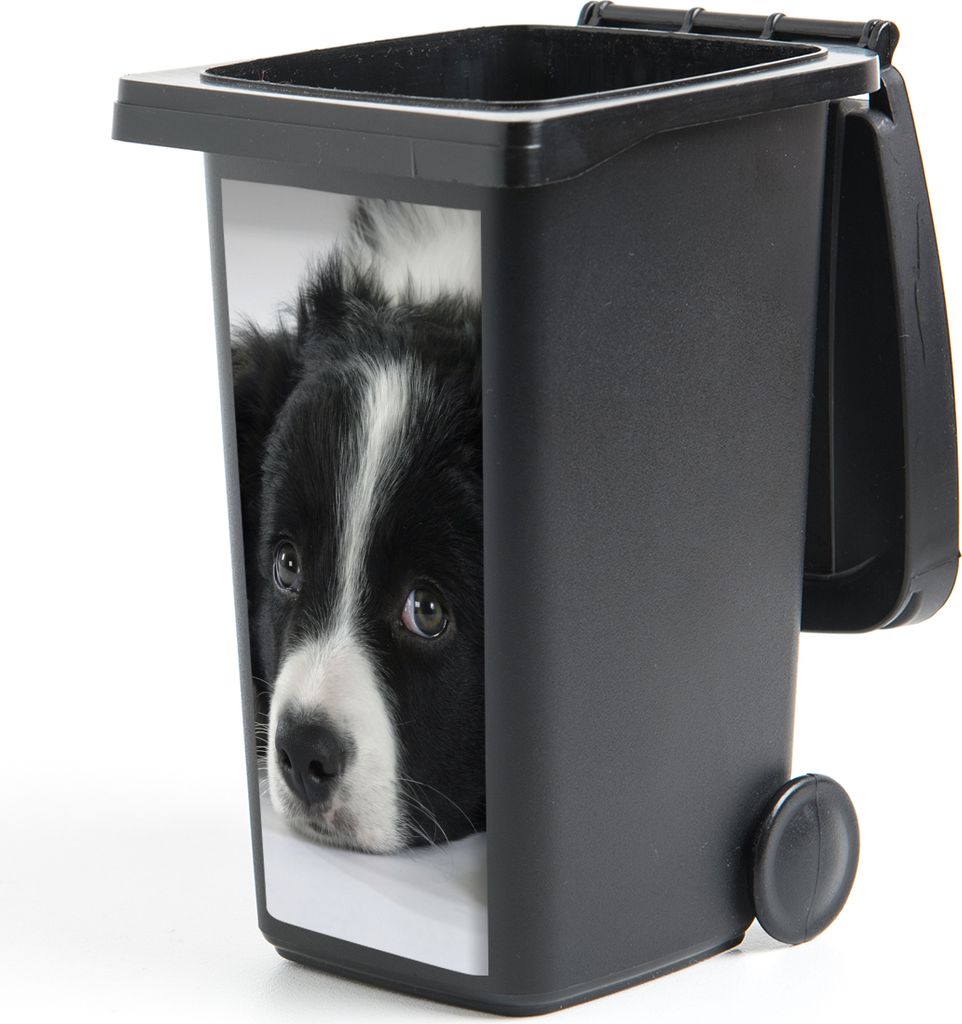 MuchoWow Mülltonnenaufkleber Ein Border Collie liegt auf dem Boden 38x80 cm - Behälteraufkleber - Mülleimer-Aufkleber - Container-Aufkleber