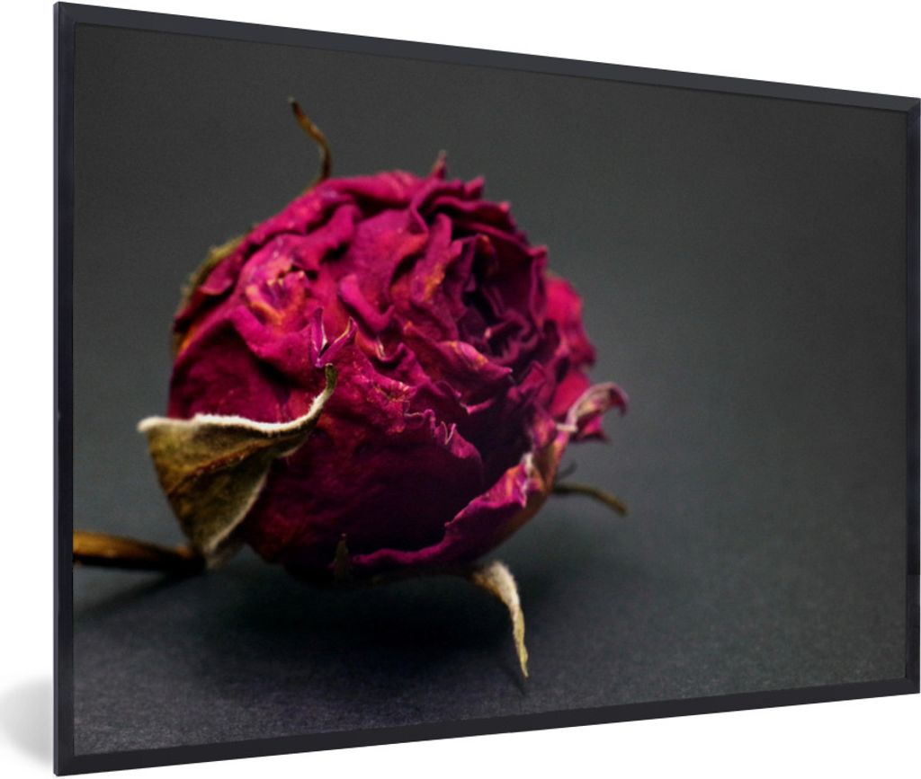 MuchoWow Gerahmtes Poster Rosen - Farbton - Rot 60x40 cm - Poster mit Schwarzem Bilderrahmen Wandposter Rahmen Foto Bilder - Printing - Wanddeko ...