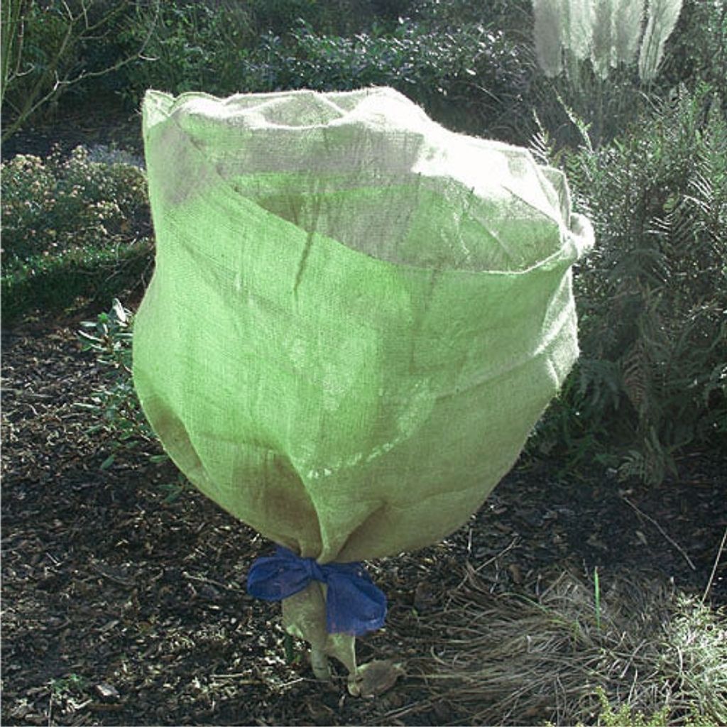 Pflanzenschutzvlies 105x500cm grün Frostschutz Vlies Jute Schutzvlies Beetvlies