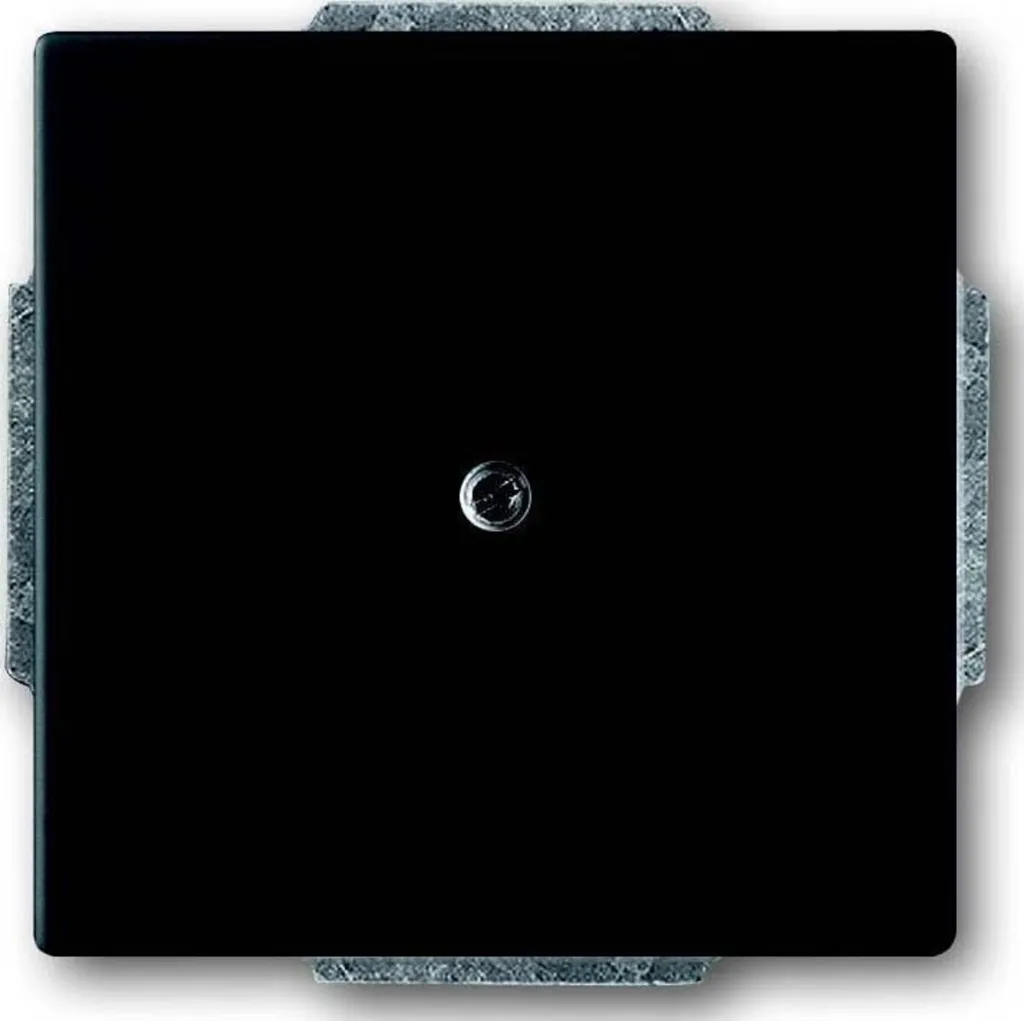 Busch-Jaeger 1746-885 future linear Support de Montage Noir Mat