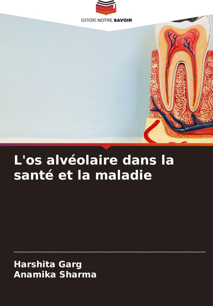 L'os alvéolaire dans la santé et la maladie