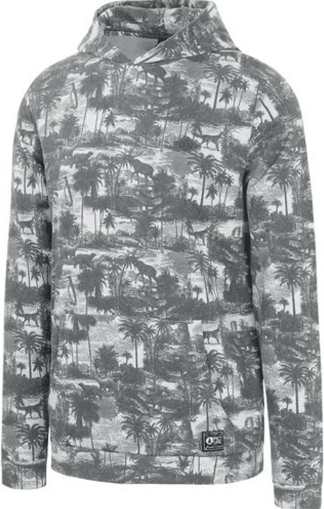 Picture Herren Kapuzenpullover Cairne Atlas : L Größe: L