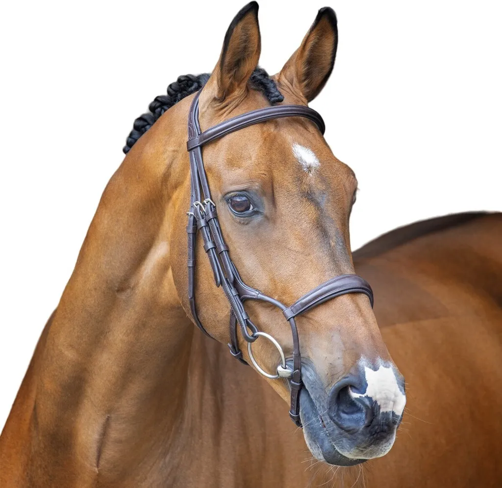 Bridon Hunter Lusso Cavesson Velociti ER1803 en cuir brun taille Cob