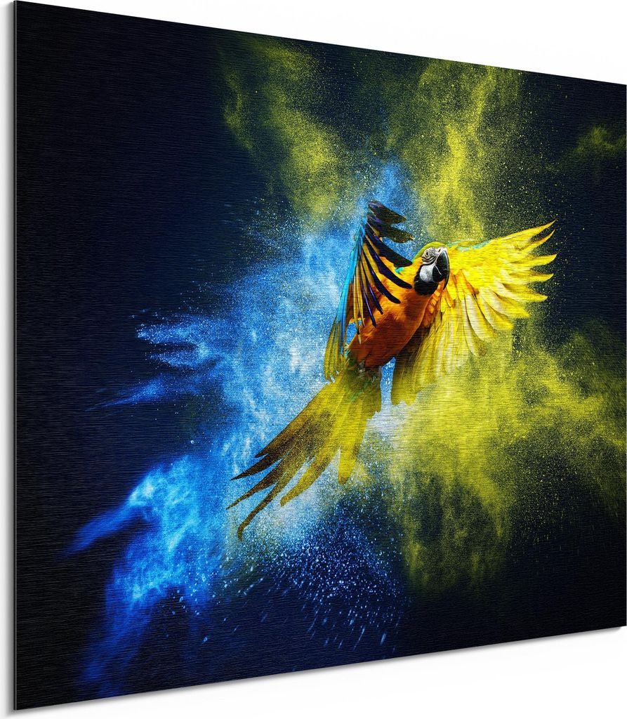 DEQORI Alu-Dibond Bild Silber 80x60 cm 'Papagei in Farbwolke' Wandbild Metall dünn Design