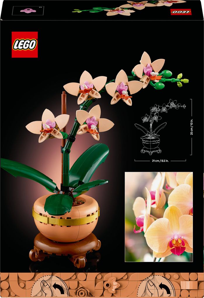 LEGO Botanicals Mini-Orchidee - Bauset für Erwachsene - Produktbild 