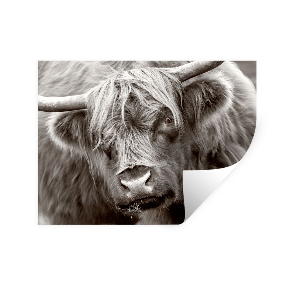 MuchoWow Wandtattoo Wandsticker Wandaufkleber Schottischer Highlander - Schwarz - Weiß - Hörner 80x60 cm Selbstklebend und Repositionierbar - F...
