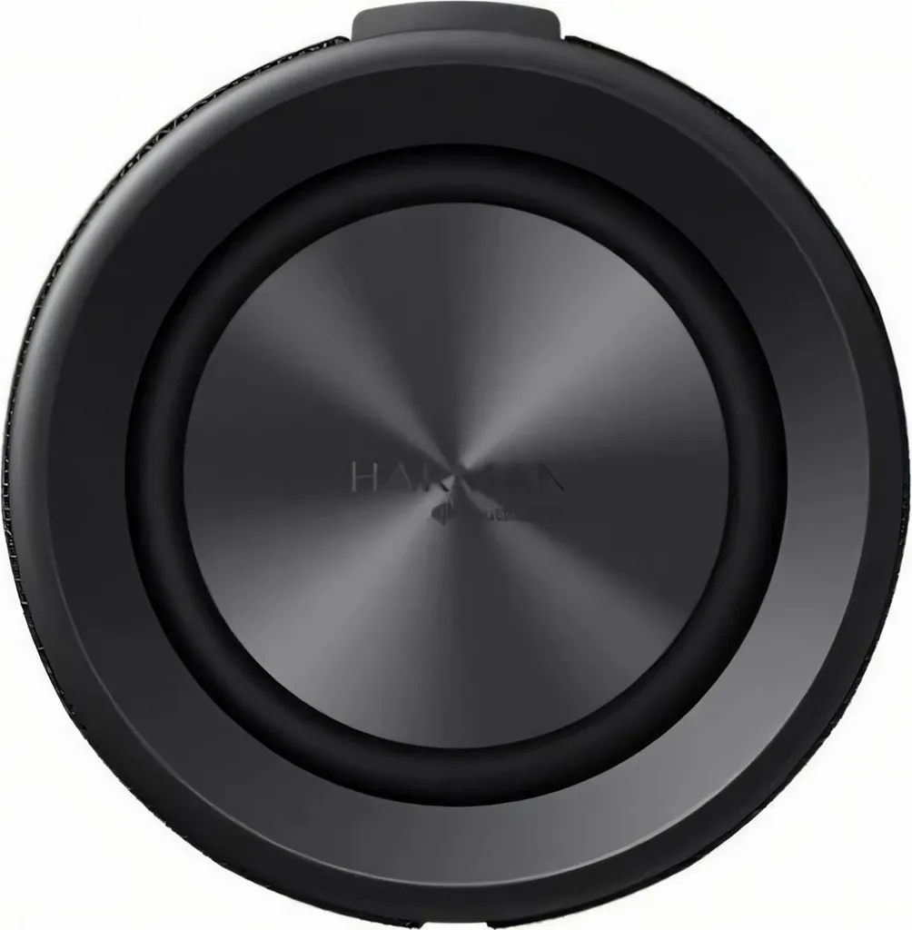 Xiaomi Enceinte Bluetooth 40W Noir avec autonomie longue durée et IP67