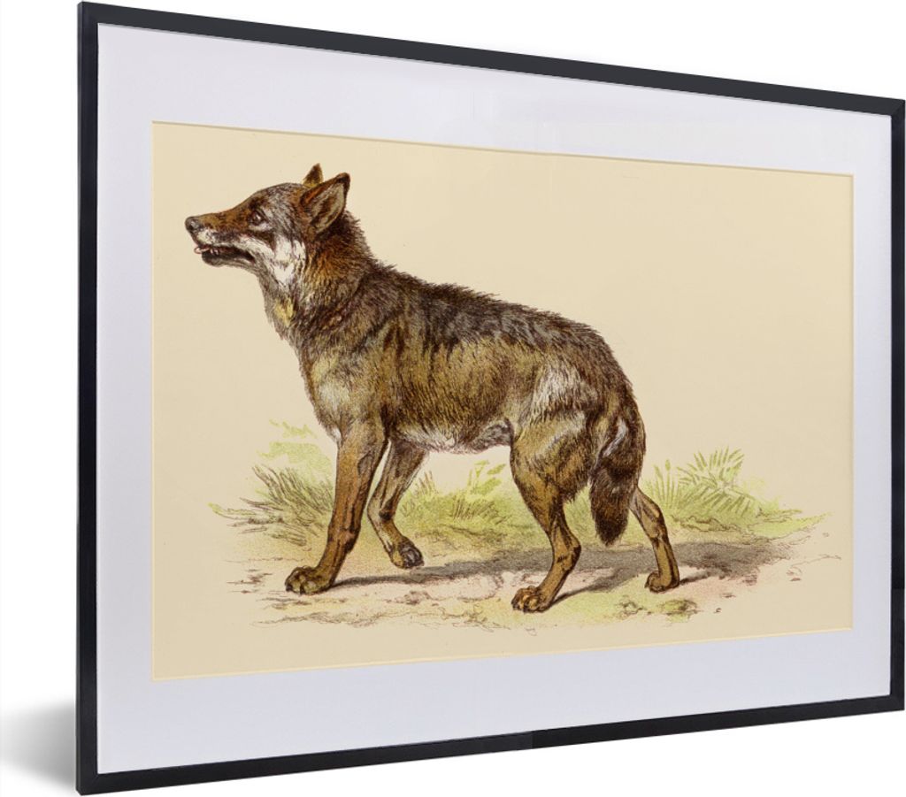 MuchoWow MuchoWow Gerahmtes Poster Wolf - Raubtier - Pflanzen 40x30 cm - Poster mit zchwarzem Bilderrahmen - Bilderrahmen - Poster im Rahmen