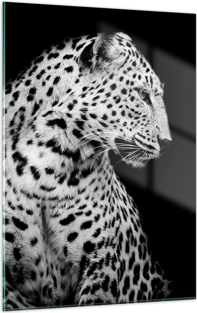 Bilder auf glas - Einteilig - Leopard Panther Katze - 50x70cm - Glasbilder - Wandbilder - Bilder - zum Aufhängen bereit - Wanddekoration aus Glas ...