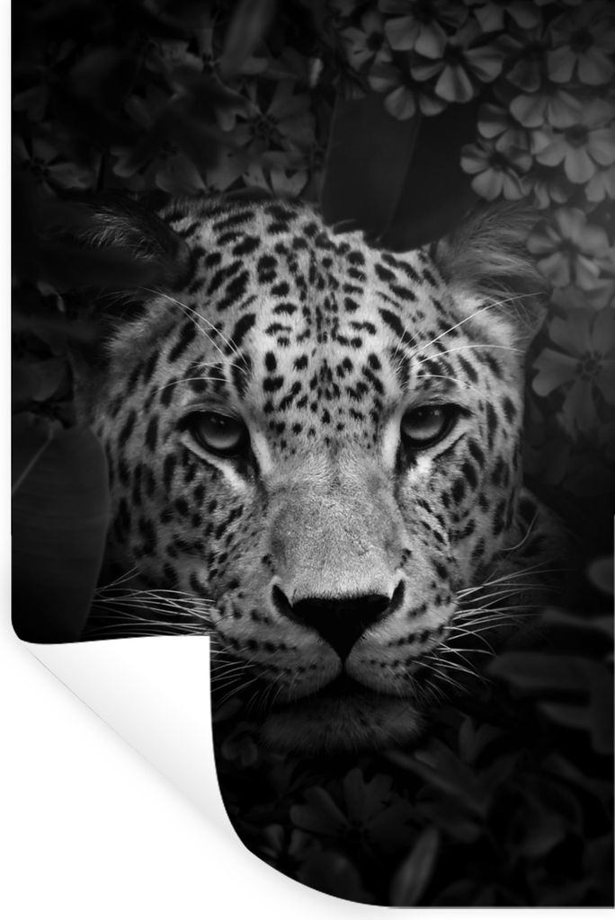 MuchoWow Wandtattoo Wandsticker Wandaufkleber Nahaufnahme eines Panthers mit Blumen im Dschungel - schwarz und weiß 60x90 cm Selbstklebend und R...
