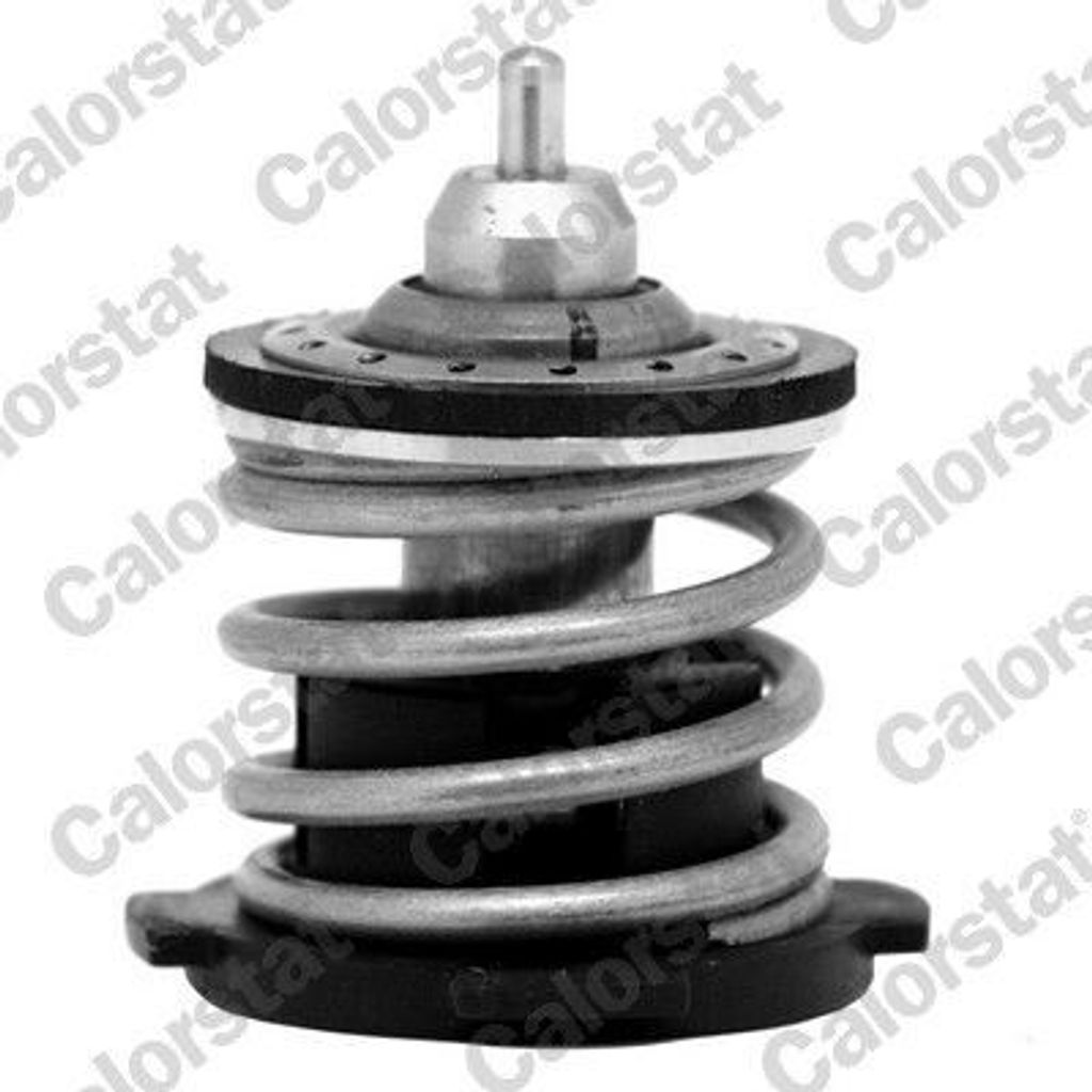 CALORSTAT by Vernet Thermostat