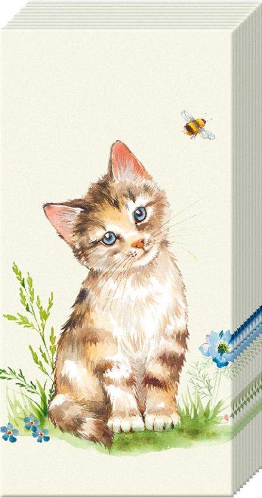 Papiertaschentücher "Cat Kira"