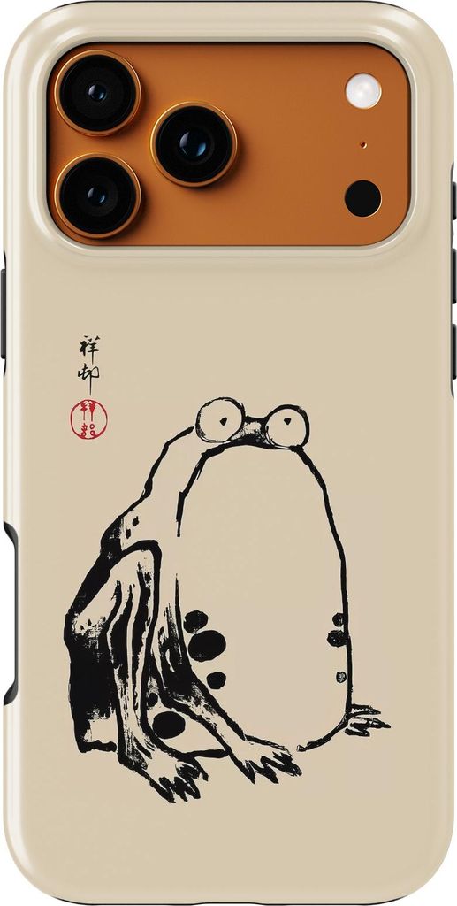 iPhone 17 Pro Schutzhülle mit MagSafe, stoßfest – Handyhülle Case Schutz