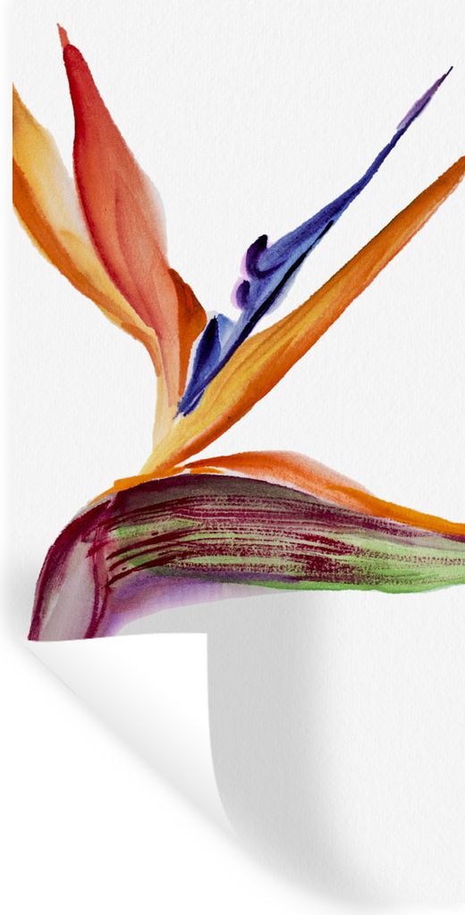 MuchoWow Wandtattoo Wandsticker Wandaufkleber Strelitzia - Aquarell - Blumen 60x120 cm Selbstklebend und Repositionierbar - Selbstklebend - Fotot...