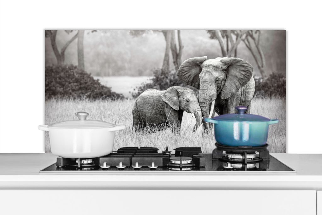KitchenYeah Spritzschutz Küche - Küchenrückwand - Wandschutz für Herd und Spüle - Elefant - Tiere - Natur - Schwarz und weiß 100x50 - Alu-D...