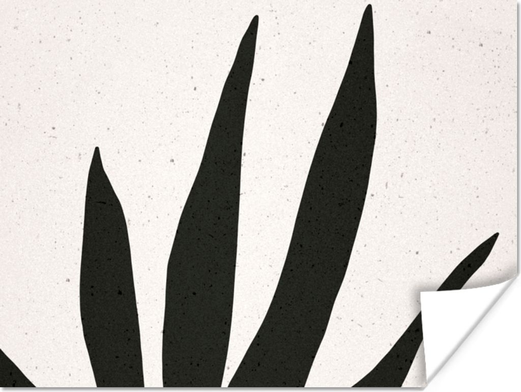 MuchoWow Poster Blatt - Pflanze - Minimalismus 160x120 cm - Foto Plakat
