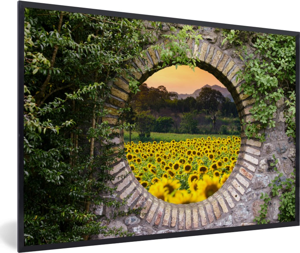 MuchoWow Gerahmtes Poster Durchschauen - Blumen - Sonnenblume 30x20 cm - Poster mit Schwarzem Bilderrahmen Wandposter Rahmen Foto Bilder - Kunstd...