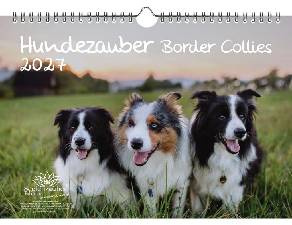 Hundezauber Border Collie DIN A4 Kalender für 2027 Welpen und Hunde - Seelenzauber