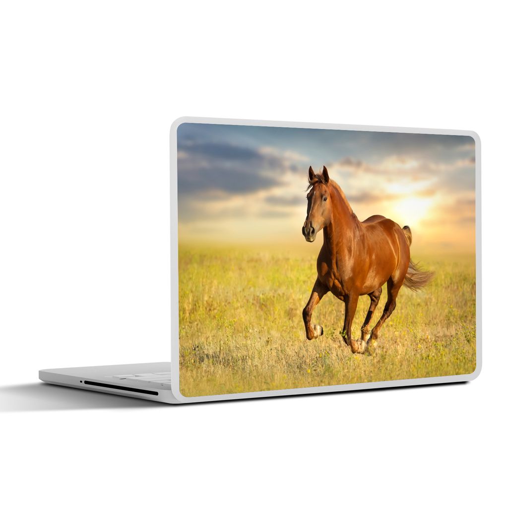 MuchoWow Laptop Aufkleber Sticker Cover Pferd - Sonne - Gras - Tier 32.5x23.5 cm - Sticker für Laptop - Selbstklebend